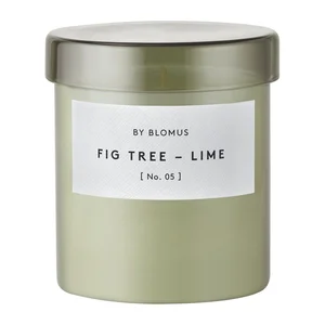 VALOA Fig Tree – Lime, Blomus (45 h)