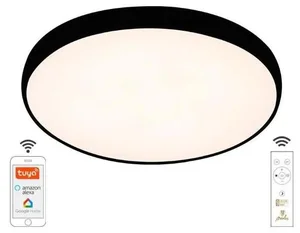 Wi-Fi stmívatelné LED stropní svítidlo 48W 230V