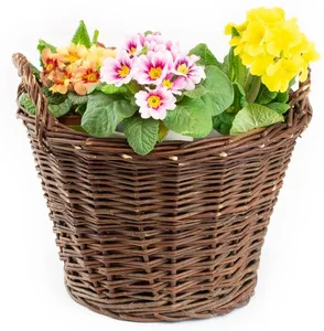 Zahradní koš s fólií Ornatis I. 30 cm