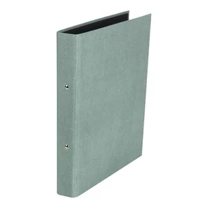 Zelený kartonový organizér Bigso Ringo Canvas