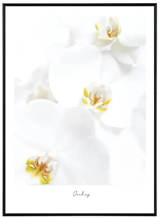 Angelica květinový obraz 30x40 cm