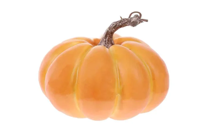 Autronic plastová dýně oranžová PRZ3541
