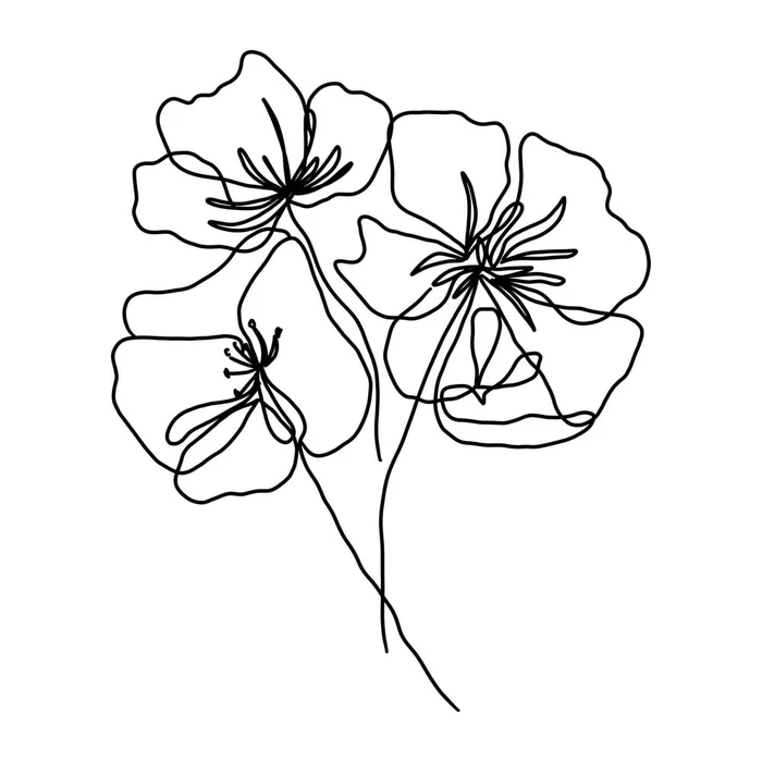 Black Poppy – Veronika Boulová