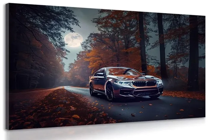 BMW Měsíc v úplňku - umělecký obraz