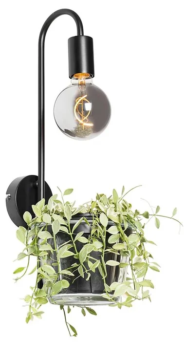 Černá nástěnná lampa s skleněným květináčem Roslini