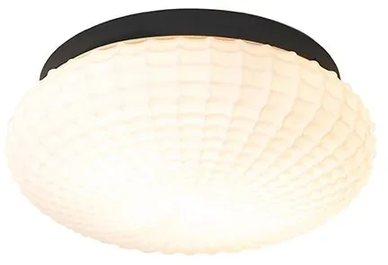 Černé stropní svítidlo s opálovým sklem 30 cm IP44