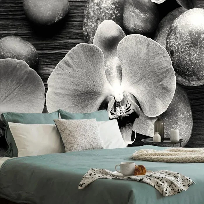Černobílá fototapeta orchideje a kameny