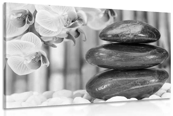 Černobílá Zen zahrada – moderní japonský obraz