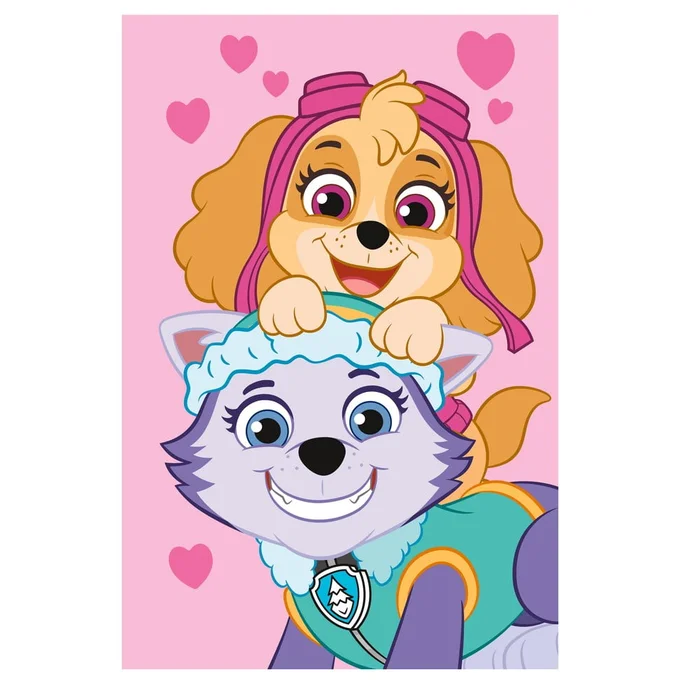 Dětská fleece deka Paw Patrol 100x150 cm
