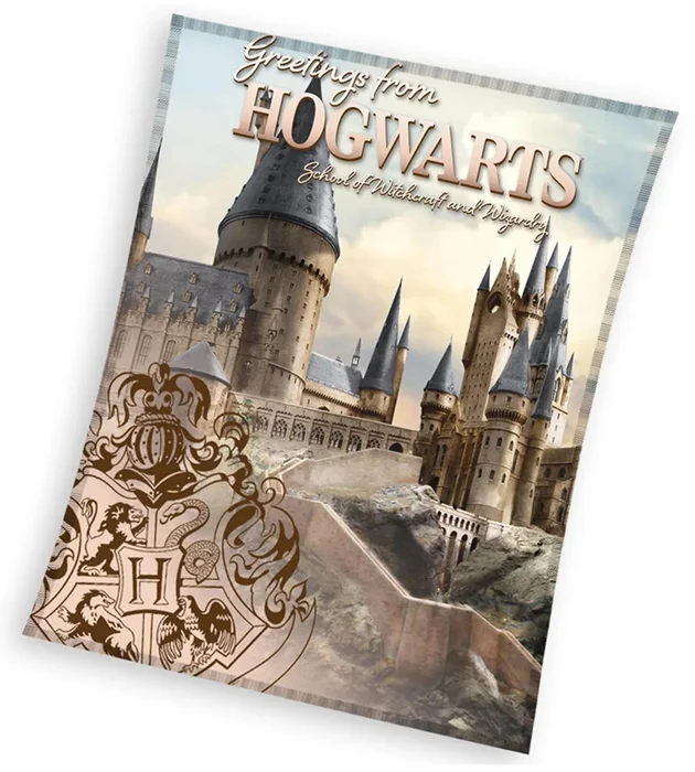 Dětská mikroplyšová deka Harry Potter Bradavické Tajemství 130x160 cm