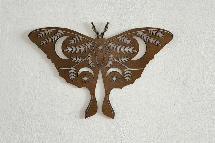 Dřevěná dekorace Motýl na zeď 25x17cm Ořech