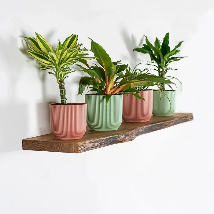 Dubová police s přírodní hranou na míru