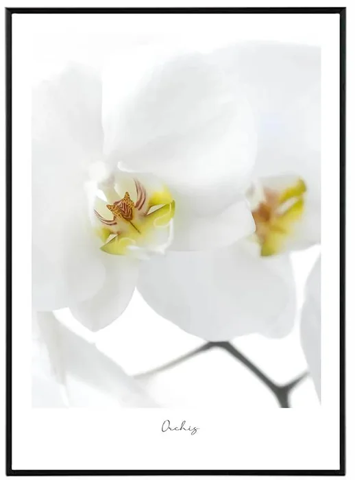 Elegantní květinový obraz Orchidej 30x40 cm