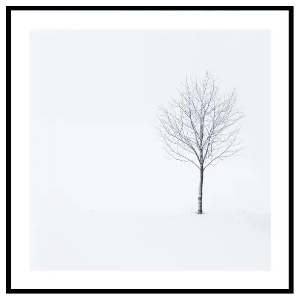 Elegantní zimní strom - 30x30 cm Umělecký obraz