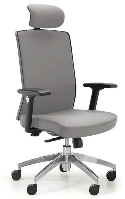 Ergonomická kancelářská židle ALTA F šedá