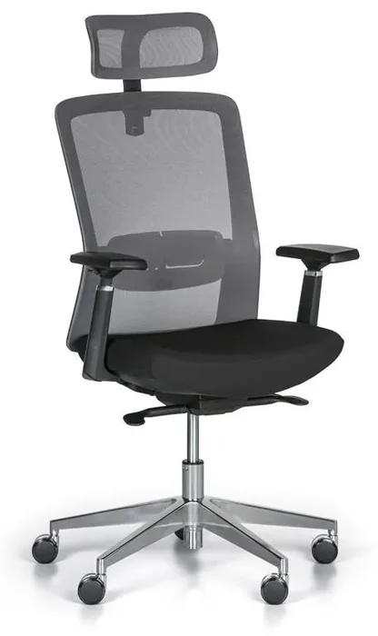 Ergonomická kancelářská židle BACK v šedé a černé