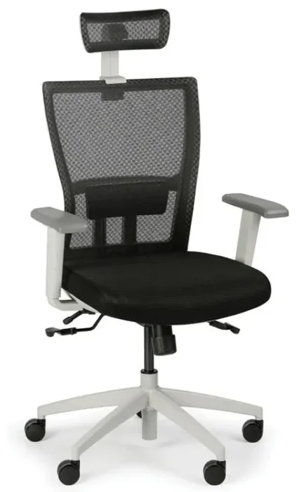 Ergonomická kancelářská židle GAS - černý design