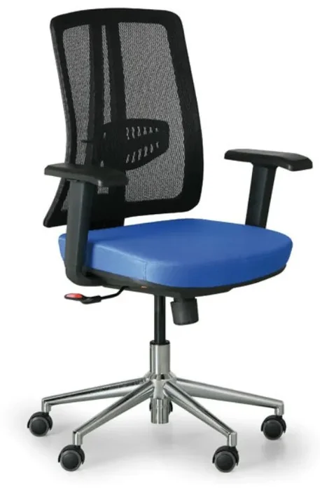 Ergonomická kancelářská židle HUMAN s nastavitelnými funkcemi