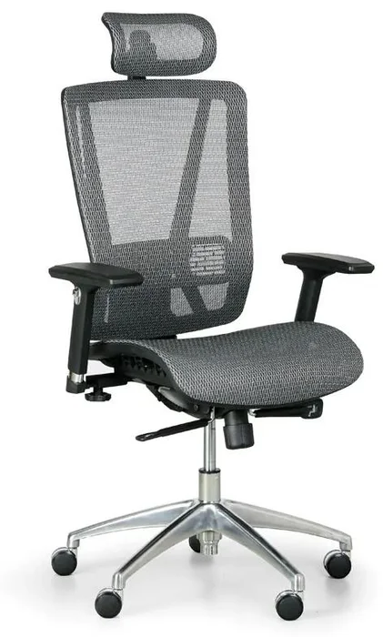 Ergonomická kancelářská židle LESTER M, šedá