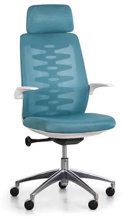 Ergonomická kancelářská židle SITTA WHITE s tyrkysovým síťovým opěrákem