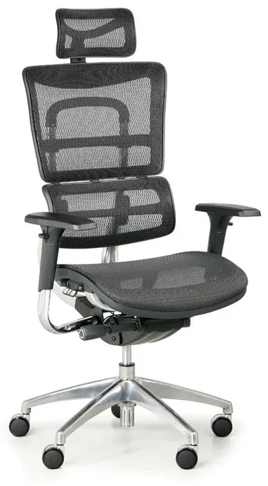 Ergonomická kancelářská židle WINSTON SAA černá