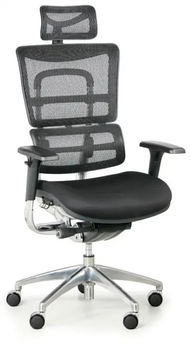 Ergonomická kancelářská židle WINSTON SAB, černá