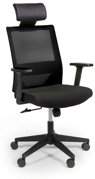 Ergonomická kancelářská židle WOLF s prodyšným opěrákem, nastavitelnými područkami a plastovým základem - černá