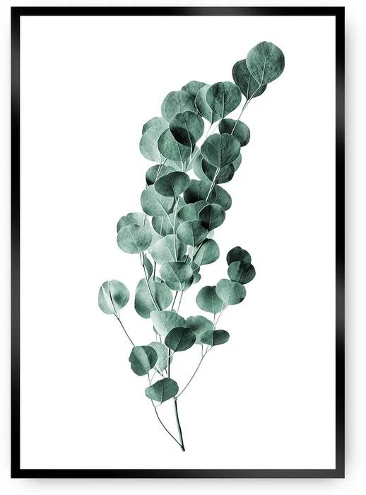 Eukalyptus Plakát Emerald Zelená