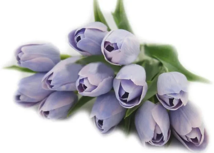 Fialový umělý tulipán