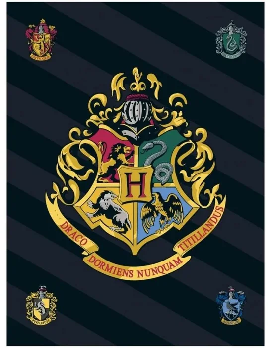 Fleecová deka Harry Potter s erbem Bradavic