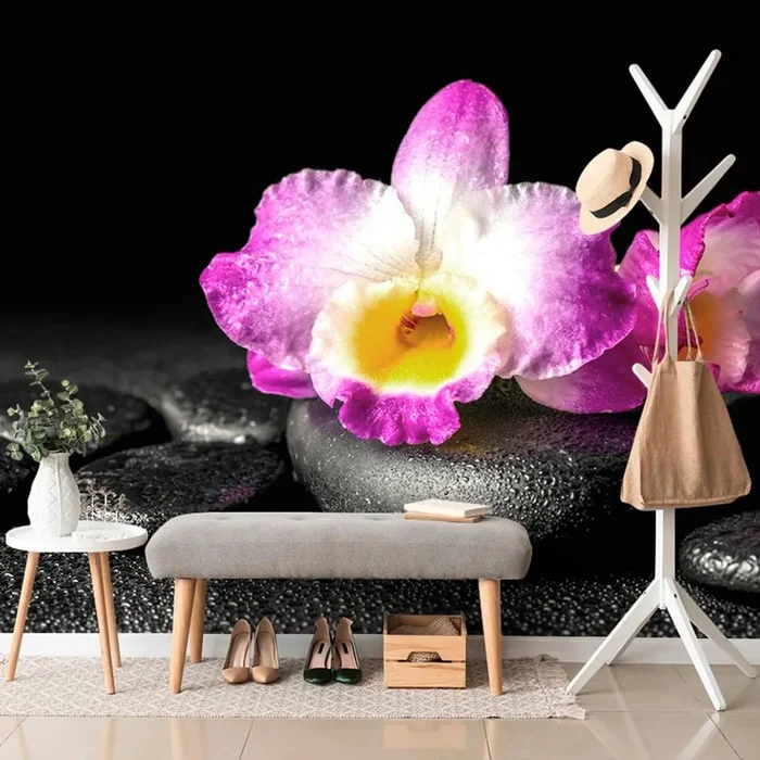 Fototapeta Orchideje na Zen kamenech