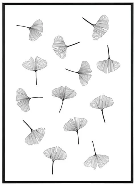 Ginkgo Biloba - Umělecký tisk 30x40 cm