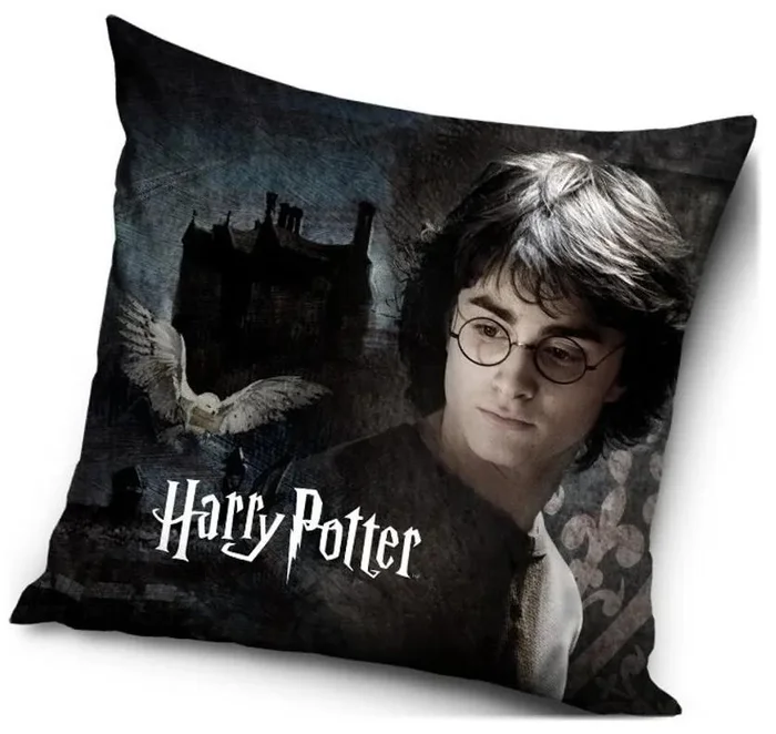 Harry Potter Polštář 40x40 cm