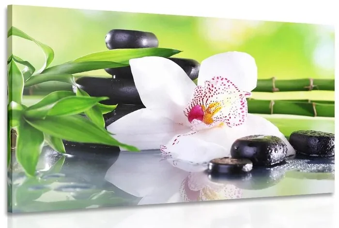 Japonská orchidej - Umělecký obraz pro moderní domov