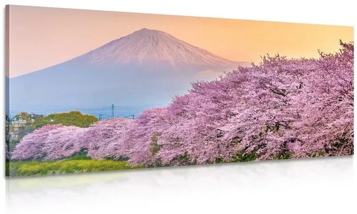 Japonský panoramatický obraz