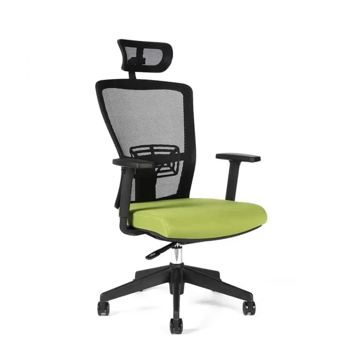 Kancelářská židle THEMIS SP TD-20 zelená