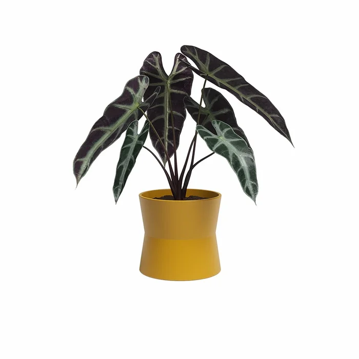 Keramický květináč Diana 14 cm