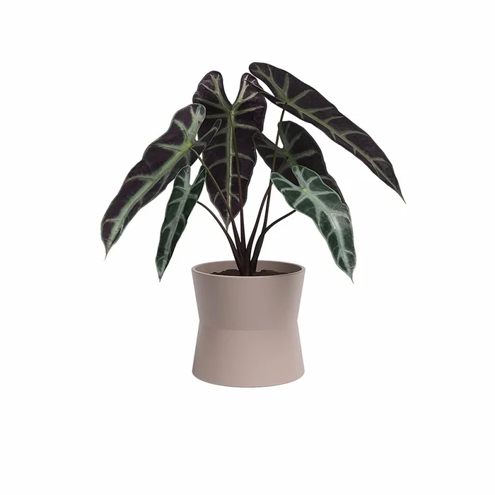 Keramický květináč Diana, 14 cm