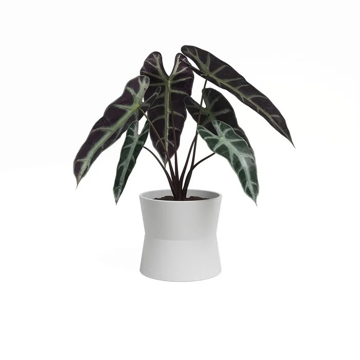 Keramický květináč Diana 20 cm