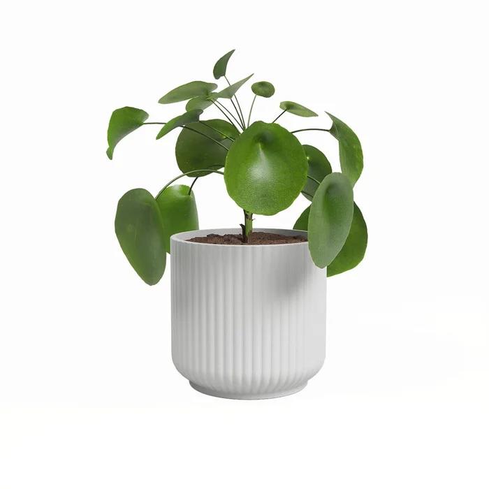 Keramický květináč Luna 15 cm