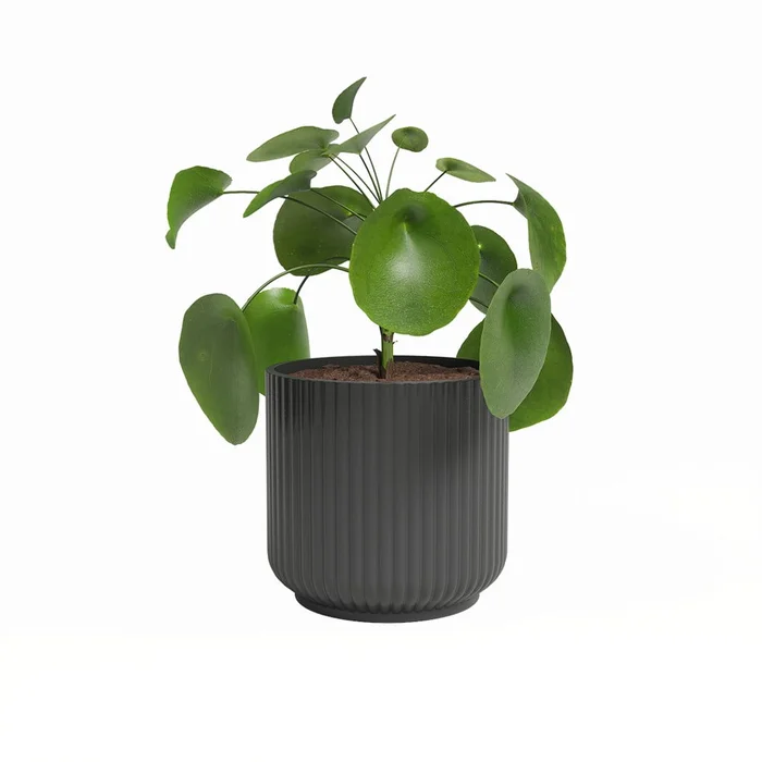 Keramický květináč Luna 19 cm