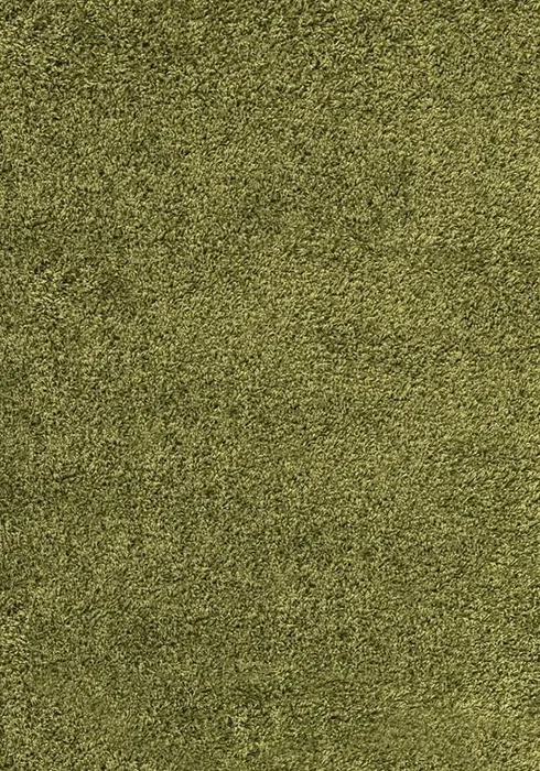 Kusový koberec Dream Shaggy 4000 – zelený, 120×170 cm