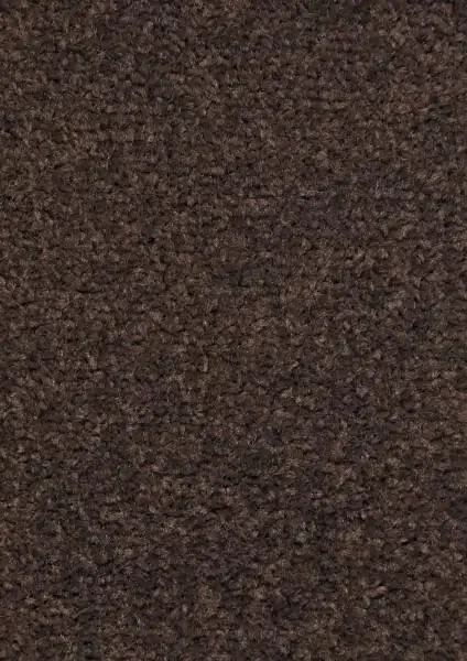 Kusový koberec Nasty Braun 80×300 cm