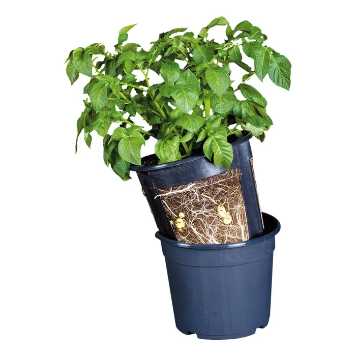 Květináč na brambory Esschert Design 30,2 cm