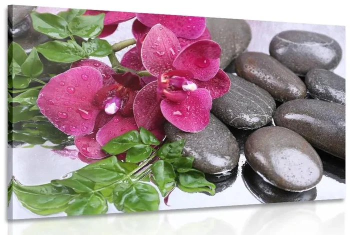 Květoucí orchidej a wellness kameny – originální umělecký obraz