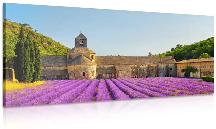 Levandulové pole v Provence