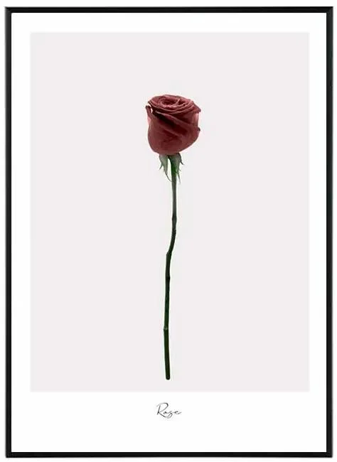 Loving Květinový Obraz 30x40 cm