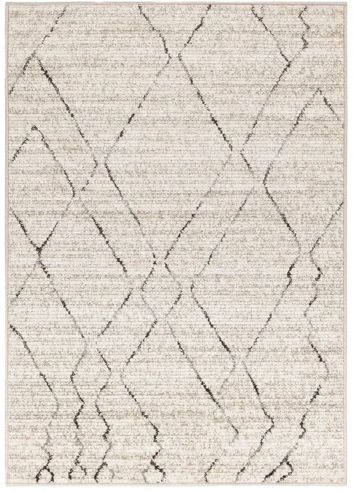 Luxusní dekorativní koberec HARMONIA 4003 - 0744, 160x220 cm, Béžový s vícebarevnými akcenty