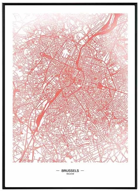 Mapa Bruselu 50x70 cm