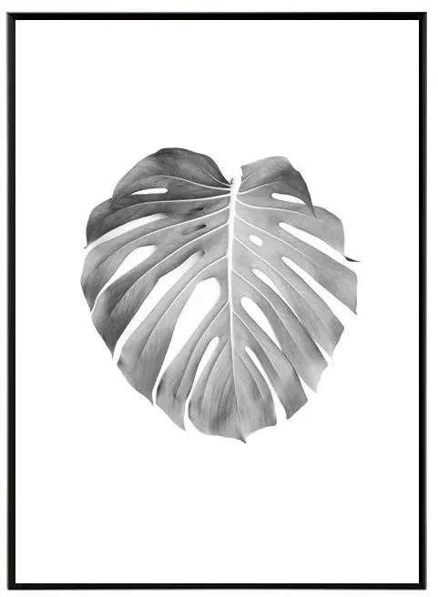 Monstera - Černobílý obraz 30x40 cm